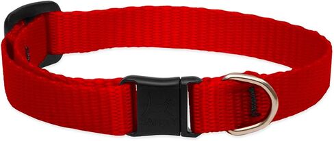 LupinePet Basics 1/2" Black Cat Safety Collar with Bell , 8-12" in Saudi Arabia