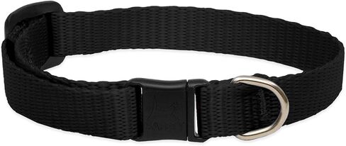 LupinePet Basics 1/2" Black Cat Safety Collar with Bell , 8-12" in Saudi Arabia