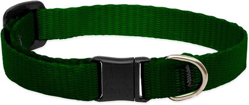 LupinePet Basics 1/2" Black Cat Safety Collar with Bell , 8-12" in Saudi Arabia