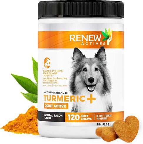 Renew Actives Organic Turmeric Joint Supplement for Dogs - Advanced Canine Support for Hip, Joint & Cartilage Health - Natural Mobility Formula with 120 Chewable Soft Treats in Saudi Arabia