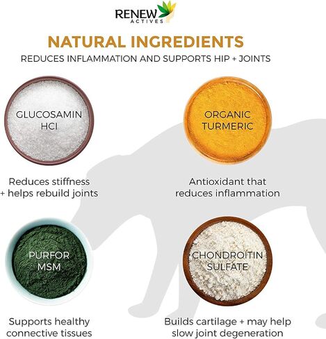 Renew Actives Organic Turmeric Joint Supplement for Dogs - Advanced Canine Support for Hip, Joint & Cartilage Health - Natural Mobility Formula with 120 Chewable Soft Treats in Saudi Arabia