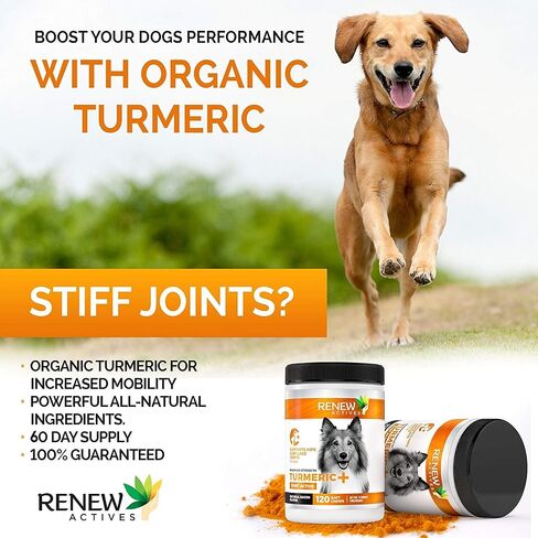 Renew Actives Organic Turmeric Joint Supplement for Dogs - Advanced Canine Support for Hip, Joint & Cartilage Health - Natural Mobility Formula with 120 Chewable Soft Treats in Saudi Arabia