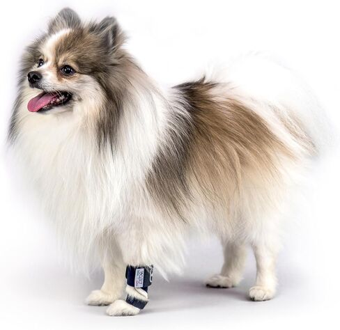 Balto Splint Carpal/Tarsal Brace- Hyperextension Dog Brace – Brace with Aluminum Splint – Supports Fractures and Sprains – Front Leg Support (Extra Extra Small) in Saudi Arabia