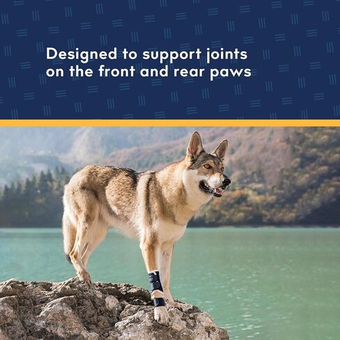 Balto Splint Carpal/Tarsal Brace- Hyperextension Dog Brace – Brace with Aluminum Splint – Supports Fractures and Sprains – Front Leg Support (Extra Extra Small) in Saudi Arabia