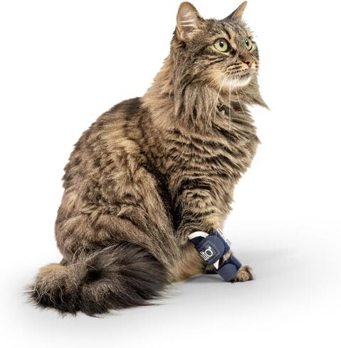 Balto Splint Carpal/Tarsal Brace- Hyperextension Dog Brace – Brace with Aluminum Splint – Supports Fractures and Sprains – Front Leg Support (Extra Extra Small) in Saudi Arabia