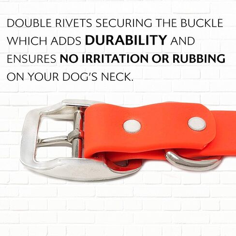 Regal Dog Products Medium Blue Dog Collar with Heavy Duty Double Buckle & D Ring | Vinyl Coated, Custom Fit, Adjustable Biothane Dog Collar | Chew Resistant Waterproof Center-Ring Collar for Dogs in Saudi Arabia