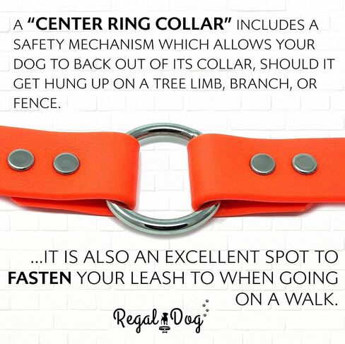 Regal Dog Products Medium Blue Dog Collar with Heavy Duty Double Buckle & D Ring | Vinyl Coated, Custom Fit, Adjustable Biothane Dog Collar | Chew Resistant Waterproof Center-Ring Collar for Dogs in Saudi Arabia