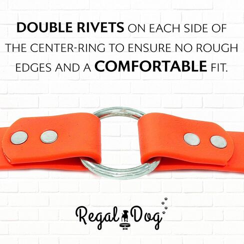 Regal Dog Products Medium Blue Dog Collar with Heavy Duty Double Buckle & D Ring | Vinyl Coated, Custom Fit, Adjustable Biothane Dog Collar | Chew Resistant Waterproof Center-Ring Collar for Dogs in Saudi Arabia