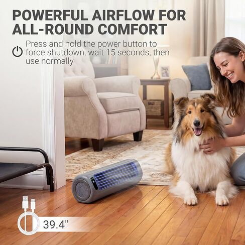 Elevated Outdoor Dog Bed with Fan - Raised Bed for Large Dogs, Waterproof Cot Easy to Assemble, 3 Wind Speed, Cooling Elevated Cot with Washable Mesh Cover, Durable, Non Slip, Up to 85 lbs in Saudi Arabia