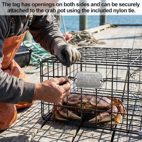 10 Pcs Blank Crab Trap Tags Stone Crab Pot Trap Sign with 100 Zip Ties Stainless Steel Metal Engraving ID Tags Identification Labels for Crabbing Lobster Pot Holder Fishing Accessories in Saudi Arabia