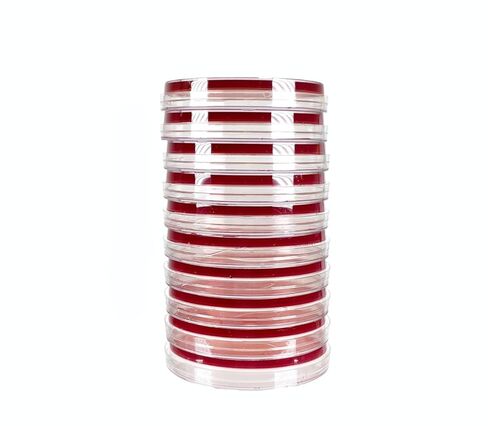 MacConkey Agar (MAC), (10-Pack), Pre-Poured, 15x100mm Petri Plates. Industry Use: Food Safety. for Dectection of E. Coli, Shigella, Salmonella. in Saudi Arabia
