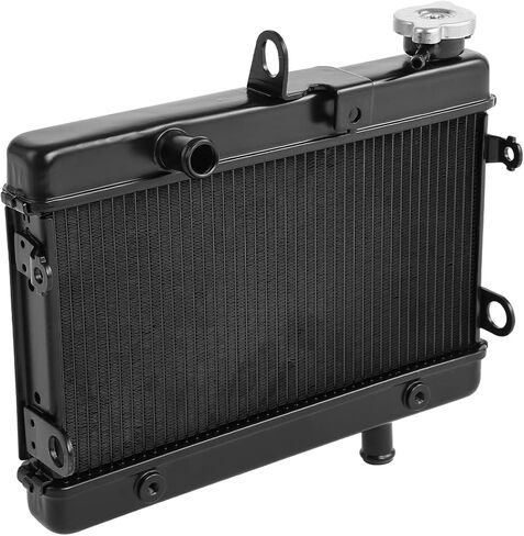 Radiator Cooler Cooling Fits for Honda Rebel 300 CMX300 2017-2024 2023 2020 2019 2018 2022 in Saudi Arabia