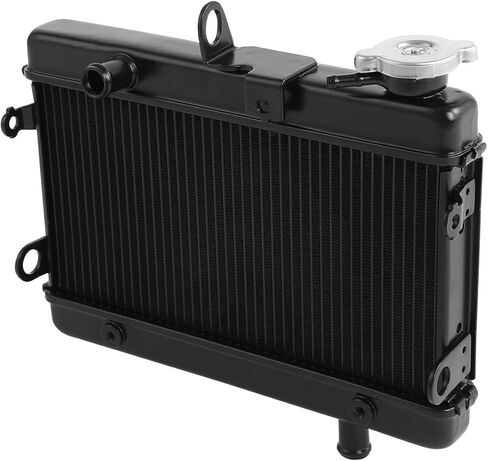 Radiator Cooler Cooling Fits for Honda Rebel 300 CMX300 2017-2024 2023 2020 2019 2018 2022 in Saudi Arabia