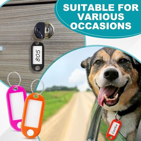Liliaafar 500 Pack Plastic Key Tags with Ring and Label Window, 10 Assorted Colors Key Chain ID Tags for Suitcases Plastic Backpack Book Bag Baggage in Kuwait