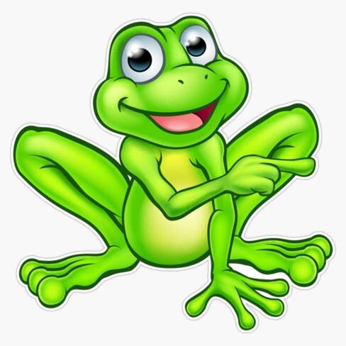 لافتة مصد السيارة المغناطيسية شديدة التحمل من Howabtjoe Frog قابلة للإزالة 5 بوصة in Kuwait