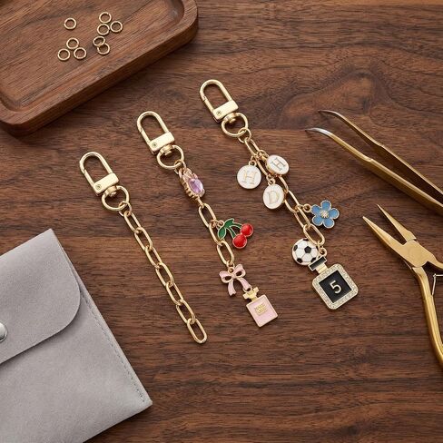 PAGOW 6pcs Keychain Making Kit, Alloy Key Chain Clips with Swivel Snap Hook Key Ring, Gold Purse Chain Bag Charm Extender Chains for DIY Crafts Handbag Jewelry Making in Kuwait