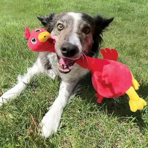 KONG Shakers Bobz Wobbly Neck Dog Toy (Mallard) in Saudi Arabia