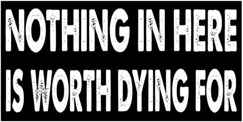 7.5x3.75(in) - Funny Magnet - Nothing in here is Worth Dying for Bumper Magnet - Nothing in here is Worth Dying for Bumper Sticker - Vehicle, Car, Truck in Saudi Arabia
