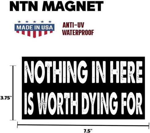 7.5x3.75(in) - Funny Magnet - Nothing in here is Worth Dying for Bumper Magnet - Nothing in here is Worth Dying for Bumper Sticker - Vehicle, Car, Truck in Saudi Arabia