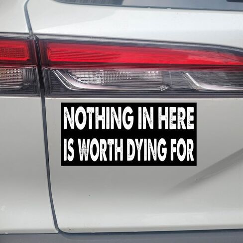 7.5x3.75(in) - Funny Magnet - Nothing in here is Worth Dying for Bumper Magnet - Nothing in here is Worth Dying for Bumper Sticker - Vehicle, Car, Truck in Saudi Arabia