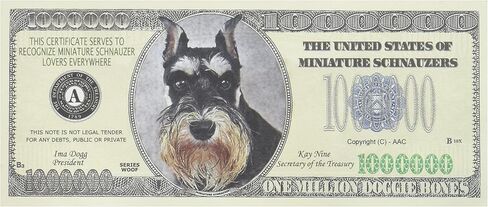DDI Mini Schnauzer Million Dollar Bill Case Pack 100 in Saudi Arabia