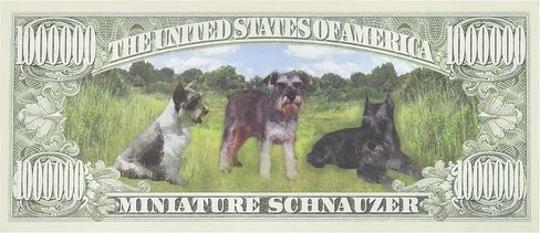 DDI Mini Schnauzer Million Dollar Bill Case Pack 100 in Saudi Arabia