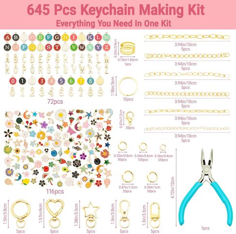 645 Pcs Charms Lip Gloss Keychain Making Kit DIY Bag Charm Kits with Key Chain Hooks Charms Lobster Clasps Jump Rings Jewelry Plier Chains & Tools for Craft Supplies and Jewelry Making (645 Pcs Kit) in Saudi Arabia