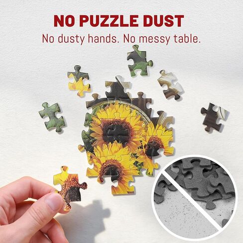 BenBen Puzzles for Adults 1000 Pieces, Spring Picnic Jigsaw Puzzles with Patterns on Back, Challenging Puzzles for Family Game Night Home Décor in Kuwait