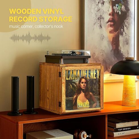 DGWJSU Vinyl Record Storage, Record Storage Box Holds 120 Records, Wooden Vinyl Holder Display Window(7″/10″/12″), Vinyl Storage For Music Corners, Display Collections, Home Theaters, Living Rooms in Kuwait