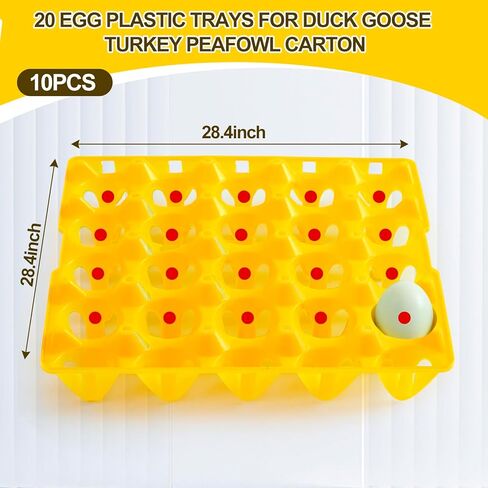Teenyyou 10 Pack 20 Plastic Egg Trays Stackable Duck Eggs Crates Multiple Egg Flats Holder Cartons Storing, Sorting, and Shipping for Duck Goose Turkey Peafowl in Kuwait