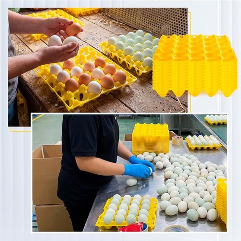 Teenyyou 10 Pack 20 Plastic Egg Trays Stackable Duck Eggs Crates Multiple Egg Flats Holder Cartons Storing, Sorting, and Shipping for Duck Goose Turkey Peafowl in Kuwait