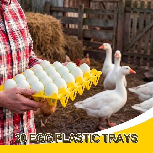 Teenyyou 10 Pack 20 Plastic Egg Trays Stackable Duck Eggs Crates Multiple Egg Flats Holder Cartons Storing, Sorting, and Shipping for Duck Goose Turkey Peafowl in Kuwait