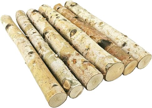 Nature Vibe 16 Inches Birch Logs Set of 6 for Rustic Home Decor,Natural Wood Stick as Fireplace Decor,Unfinished Birch Branches for Decoration or DIY Crafts in Saudi Arabia