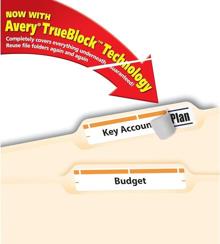 Avery 5166 Permanent Filing Labels, 1/3 Cut, 750/PK, Orange in Kuwait
