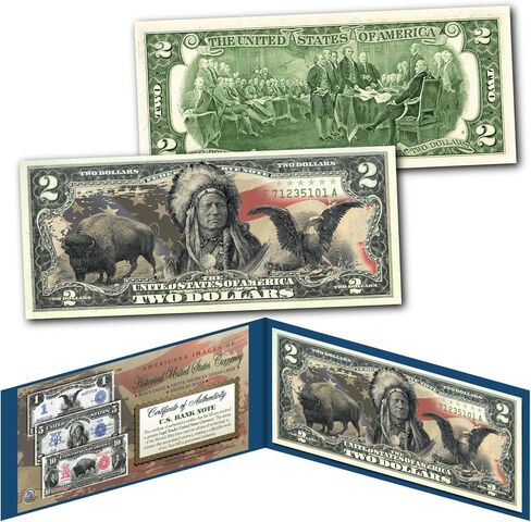 Americana Images Buffalo Bison + Black Eagle + Native American Indian Chief on Uncirculated $2 Bill Special Edition Collectible Display Holder and Certificate in Saudi Arabia