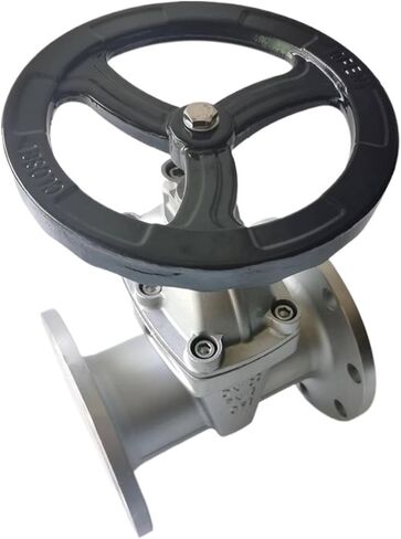 304 stainless steel concealed stem elastic seat soft seal gate valve Z45X-16P valve(304DN65 长度194mm) in Saudi Arabia