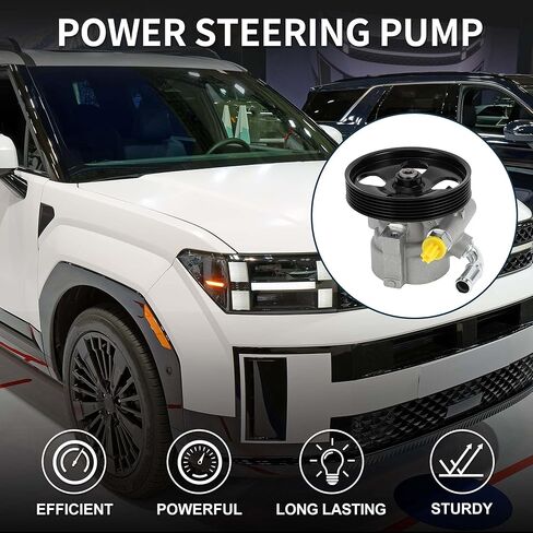 مضخة توجيه الطاقة مع بكرة لشركة هيونداي سانتا في 3.3L V6 2007-2009 مضخة مساعدة الطاقة استبدال رقم 20-997/57100-0W500 1 قطعة in Kuwait