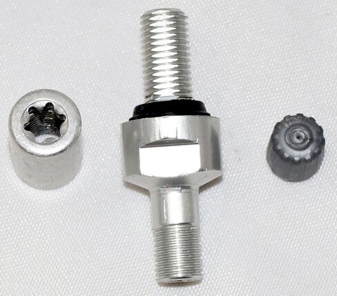 Schrader 25080 TPMS Service Pack - Silver Straight Valve w/Nut – Fits 33900 90° EZ-Sensor only in Saudi Arabia