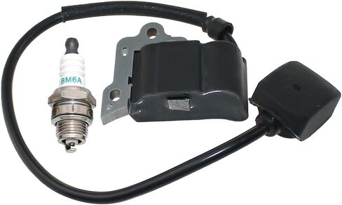 Ignition Coil For Tanaka BL9000 286095 in Saudi Arabia
