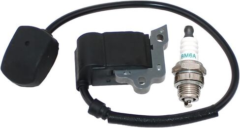 Ignition Coil For Tanaka BL9000 286095 in Saudi Arabia