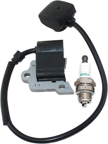 Ignition Coil For Tanaka BL9000 286095 in Saudi Arabia