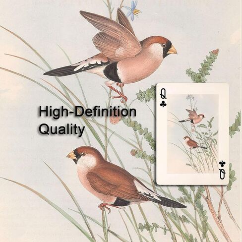 Vintage Style Bird Theme Playing Cards, 54 Different Illustrations, Nostalgic Classic Artistic Design, Suitable for Collection, and Party Games. in Saudi Arabia