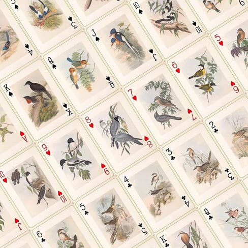 Vintage Style Bird Theme Playing Cards, 54 Different Illustrations, Nostalgic Classic Artistic Design, Suitable for Collection, and Party Games. in Saudi Arabia