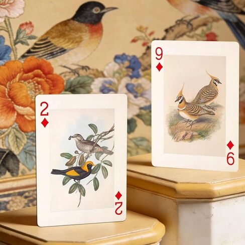 Vintage Style Bird Theme Playing Cards, 54 Different Illustrations, Nostalgic Classic Artistic Design, Suitable for Collection, and Party Games. in Saudi Arabia