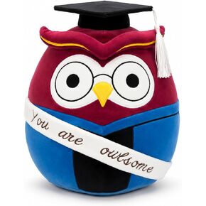 2026 Graduation Owl Plush Gift | You are Owl-Some Motivational Stuffed Animal with Cap & Gown Decorations 12" in Saudi Arabia