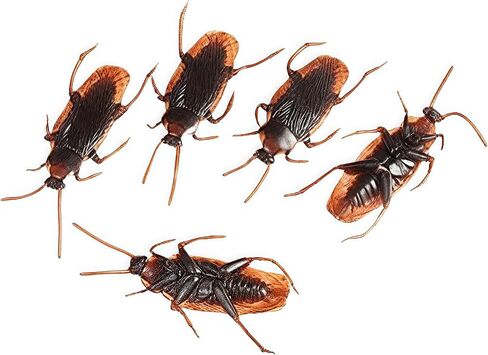 5pcs Realistic Fake Cockroaches for Halloween Prank, Home Decor, Party Props in Saudi Arabia