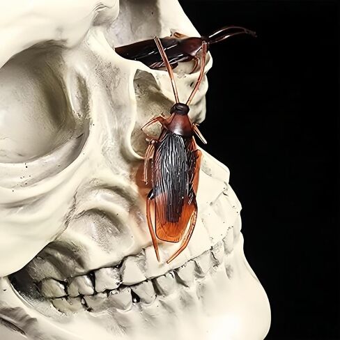 5pcs Realistic Fake Cockroaches for Halloween Prank, Home Decor, Party Props in Saudi Arabia
