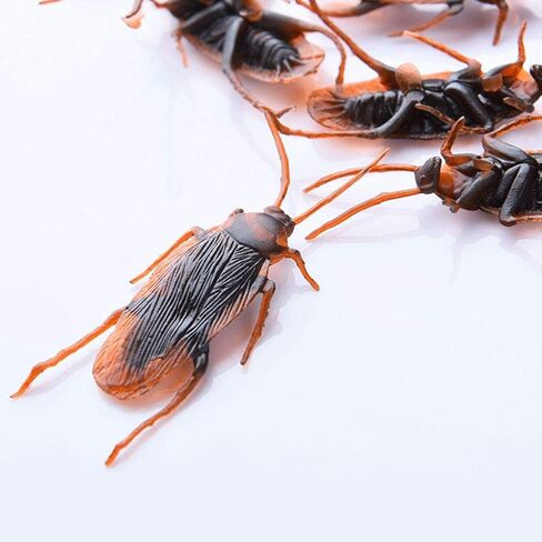 5pcs Realistic Fake Cockroaches for Halloween Prank, Home Decor, Party Props in Saudi Arabia