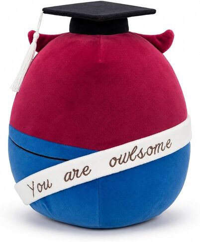 2026 Graduation Owl Plush Gift | You are Owl-Some Motivational Stuffed Animal with Cap & Gown Decorations 12" in Saudi Arabia