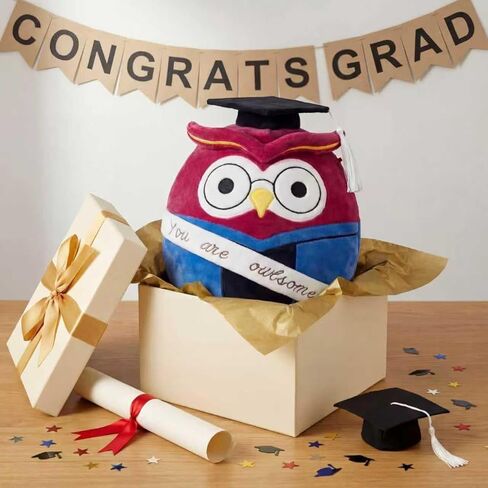 2026 Graduation Owl Plush Gift | You are Owl-Some Motivational Stuffed Animal with Cap & Gown Decorations 12" in Saudi Arabia